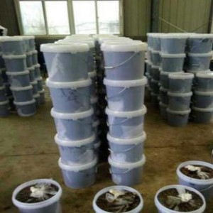 Shrimp organic fertilizer-3
